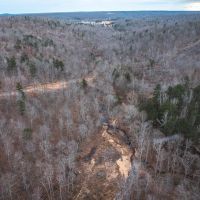 Young Timber Tract 38 A images 5