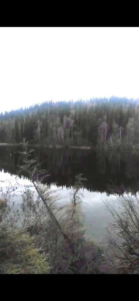 40 remote acres on a small lake near Clear AK featured image