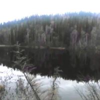 40 remote acres on a small lake near Clear AK
