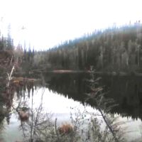 40 remote acres on a small lake near Clear AK images 2