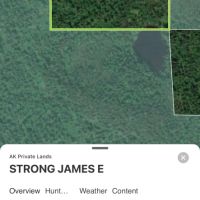 40 remote acres on a small lake near Clear AK images 4