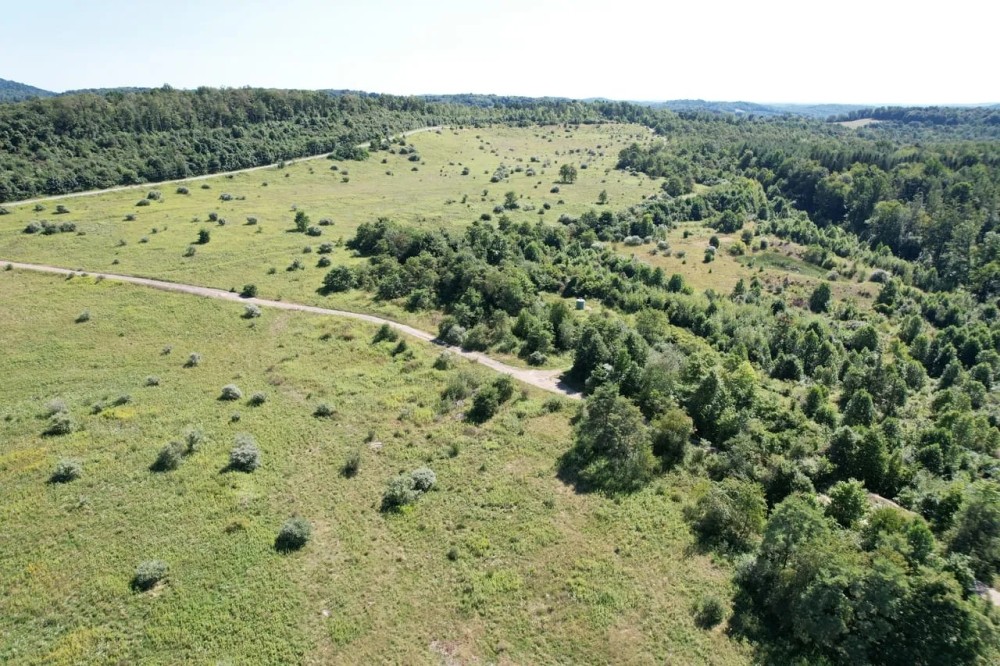 INDIANA COUNTY - DECKERS POINT RD - 123 - ACRES featured image