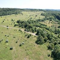 INDIANA COUNTY - DECKERS POINT RD - 123 - ACRES