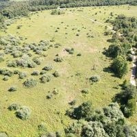 INDIANA COUNTY - DECKERS POINT RD - 123 - ACRES images 2