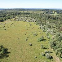 INDIANA COUNTY - DECKERS POINT RD - 123 - ACRES images 3