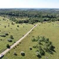 INDIANA COUNTY - DECKERS POINT RD - 123 - ACRES images 4