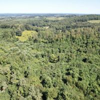 INDIANA COUNTY - DECKERS POINT RD - 123 - ACRES images 5
