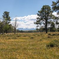 Elk Meadows images 3