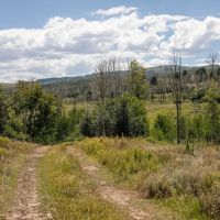 Elk Meadows images 5