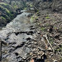 Mudlick Hollow Rd. Beaver County - 68 acres