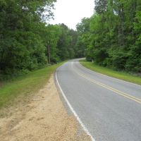 96.96 - of Beautiful Surveyed Acres in Franklin County Mississippi images 2