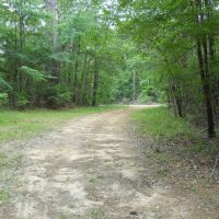 96.96 - of Beautiful Surveyed Acres in Franklin County Mississippi images 3