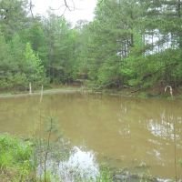 96.96 - of Beautiful Surveyed Acres in Franklin County Mississippi images 4