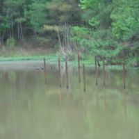 96.96 - of Beautiful Surveyed Acres in Franklin County Mississippi images 5