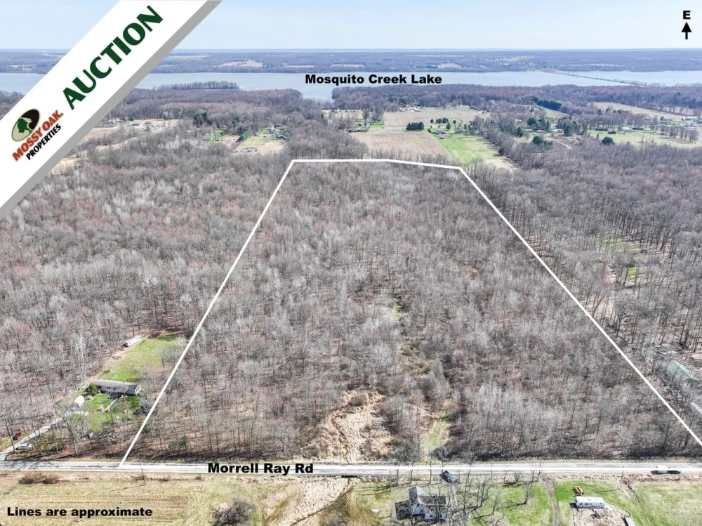Auction - 37.4 acres - Trumbull County featured image