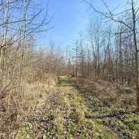 Auction - 37.4 acres - Trumbull County images 5