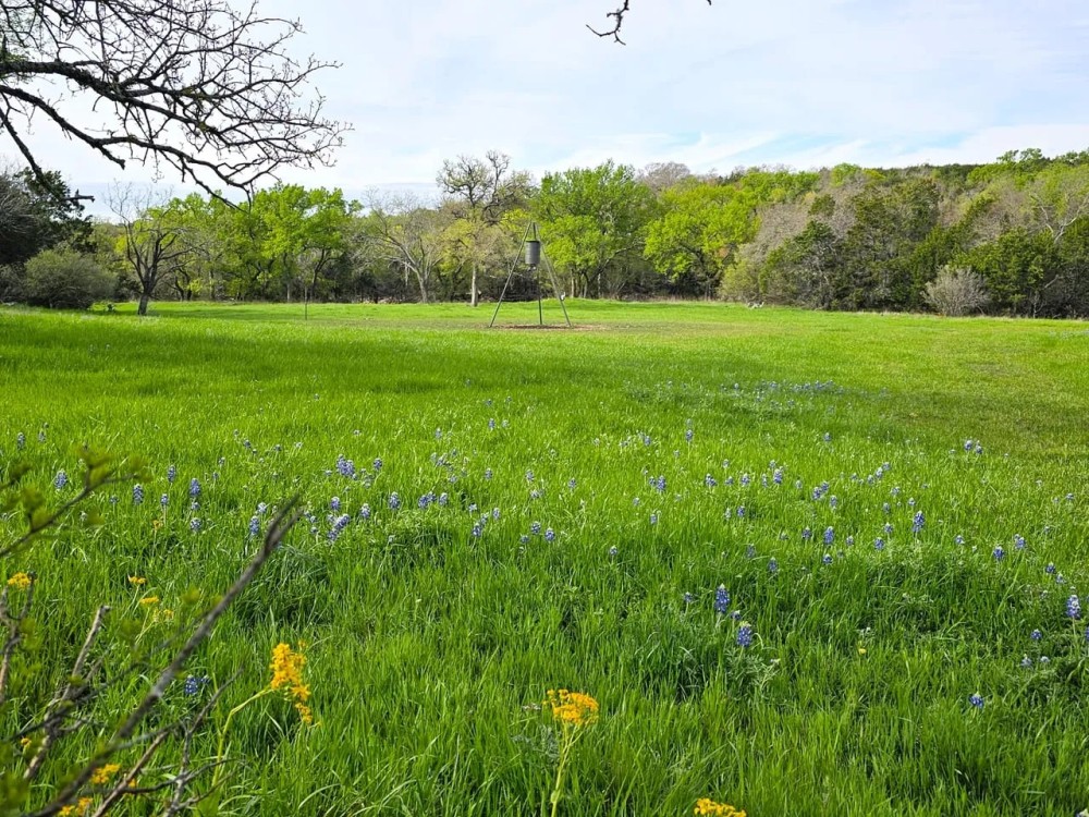 Hunting Land in Lampasas - Smith Ranch 40 acres featured image