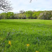 Hunting Land in Lampasas - Smith Ranch 40 acres