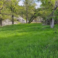 Hunting Land in Lampasas - Smith Ranch 40 acres images 4
