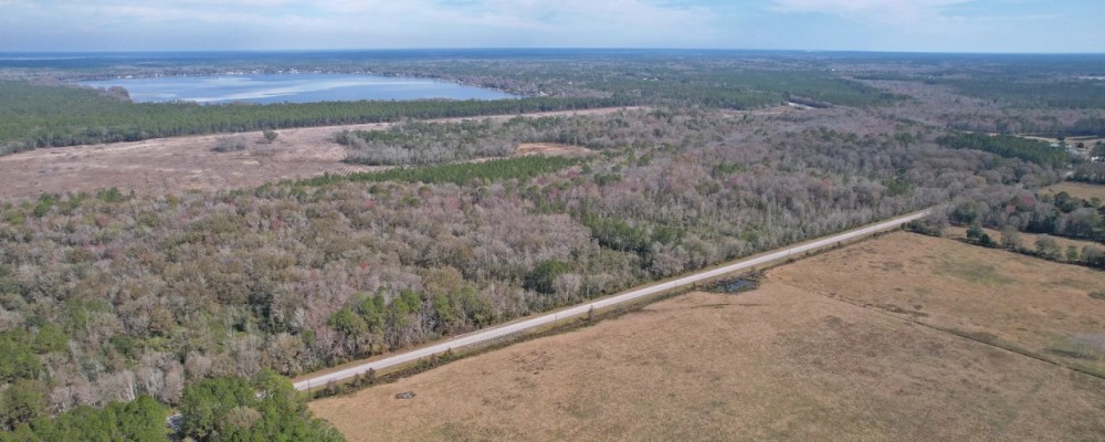 Alachua County Hunting Tract featured image