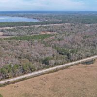 Alachua County Hunting Tract