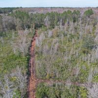 Alachua County Hunting Tract images 2