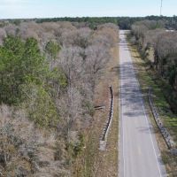 Alachua County Hunting Tract images 3