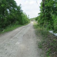 McGee Branch West Tract images 3