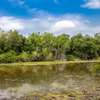 1250 Ladewig Ln. in Schulenburg images 4