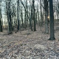 Camp Run Rd - Somerset - Westmoreland - 2 images 4