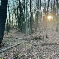 Camp Run Rd - Somerset - Westmoreland - 2 images 5