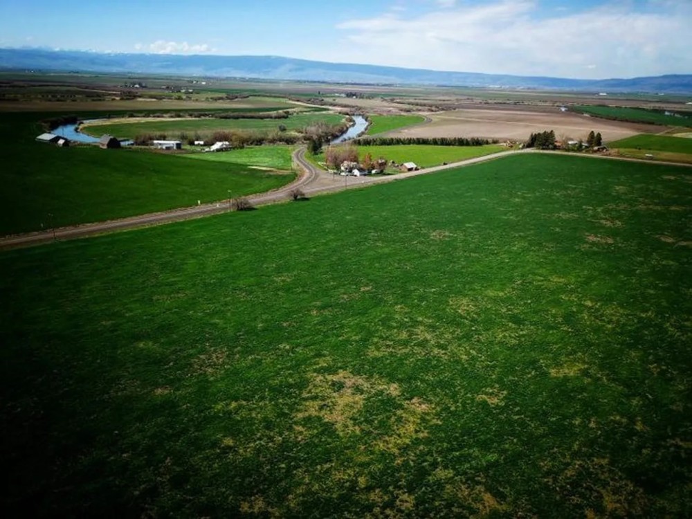 Lower Cove Road Farm featured image