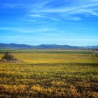 Lower Cove Road Farm images 4