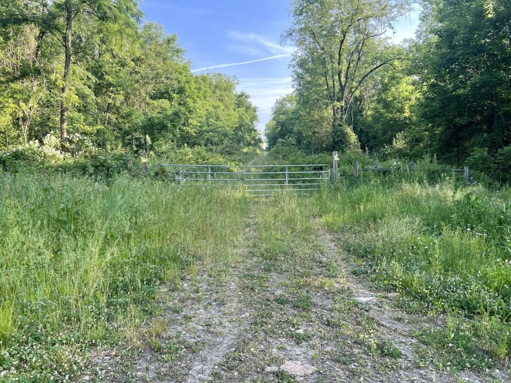 Love and Emory Hill Rd. Westmoreland County - 132 acres featured image