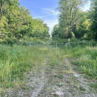 Love and Emory Hill Rd. Westmoreland County - 132 acres