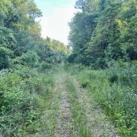 Love and Emory Hill Rd. Westmoreland County - 132 acres images 4