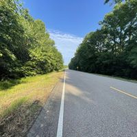 Mathews AL Homesite with Beautiful Mature Trees images 4