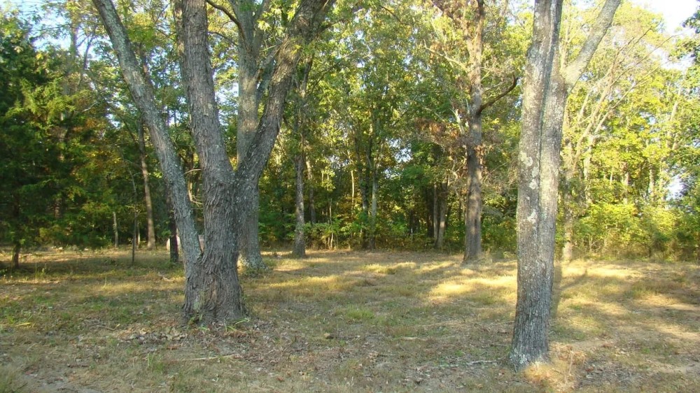 10 Wooded Acres Electric On Property Close To Jacks Fork River Shirt Distance Off Paved Road. Texas County featured image