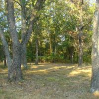 10 Wooded Acres Electric On Property Close To Jacks Fork River Shirt Distance Off Paved Road. Texas County