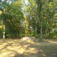 10 Wooded Acres Electric On Property Close To Jacks Fork River Shirt Distance Off Paved Road. Texas County images 2