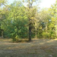 10 Wooded Acres Electric On Property Close To Jacks Fork River Shirt Distance Off Paved Road. Texas County images 3