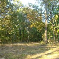 10 Wooded Acres Electric On Property Close To Jacks Fork River Shirt Distance Off Paved Road. Texas County images 4