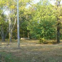 10 Wooded Acres Electric On Property Close To Jacks Fork River Shirt Distance Off Paved Road. Texas County images 5