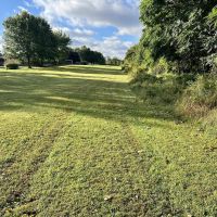 Repp Rd. Plum Boro - 13.5 acres images 2