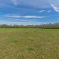 Beautiful 3 Acre Homesite Lot in Greenville Lot 5