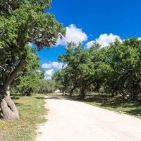 Z 5 Ranch images 2