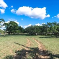 Z 5 Ranch images 3