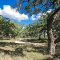 Z 5 Ranch images 4