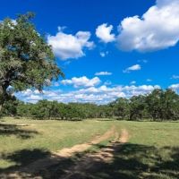 Z 5 Ranch images 5