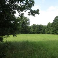 PRIME Building Rolling Hill Tracts Choctaw County OK Tract 5 images 2
